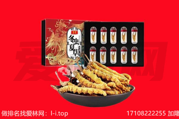 秦皇岛市卢龙回收虫草.jpg